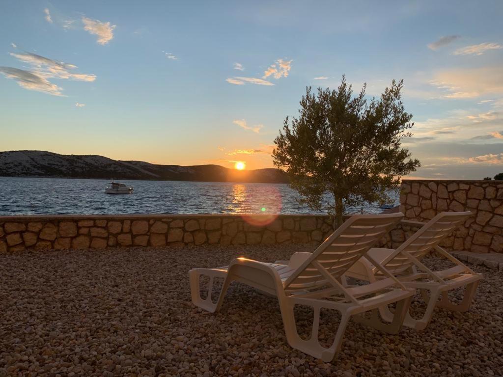 Apartments Andrea Stara Novalja Εξωτερικό φωτογραφία