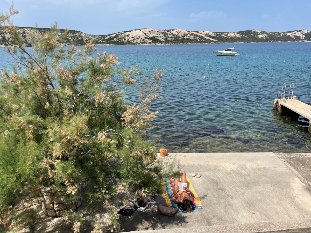 Apartments Andrea Stara Novalja Εξωτερικό φωτογραφία