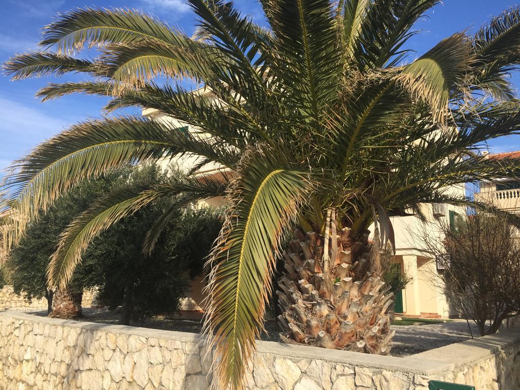 Apartments Andrea Stara Novalja Εξωτερικό φωτογραφία