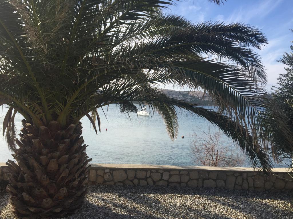 Apartments Andrea Stara Novalja Εξωτερικό φωτογραφία
